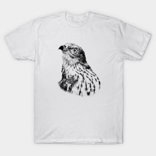 Honey buzzard T-Shirt